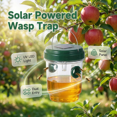 Solar-powered wasp trap for patios and gardens
