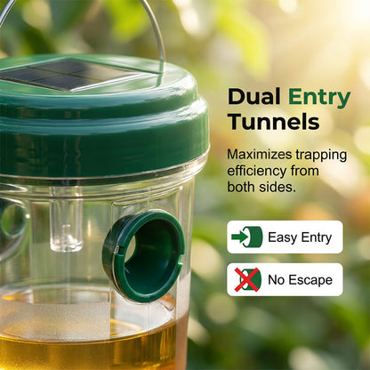 Solar-powered wasp trap for patios and gardens