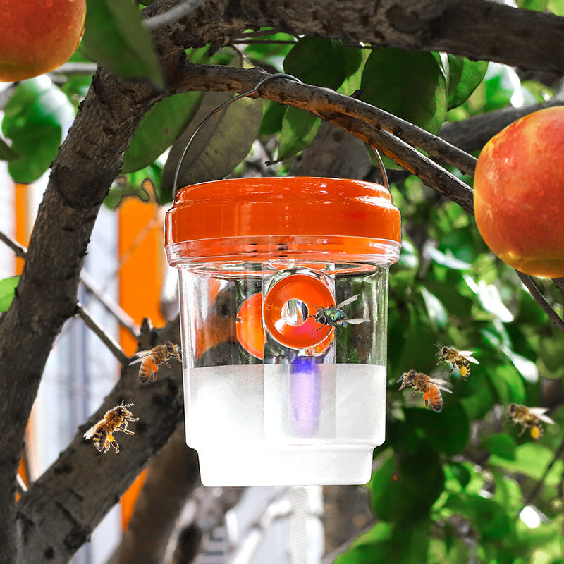 Solar-powered wasp trap for patios and gardens