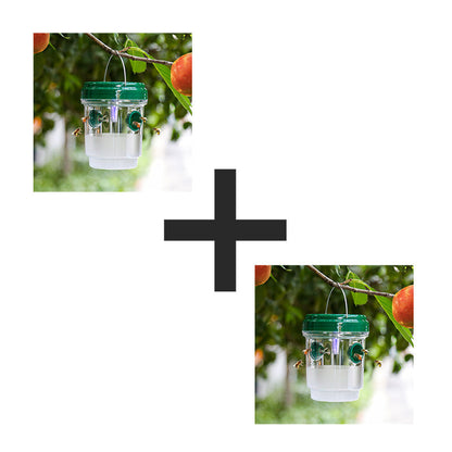 Solar-powered wasp trap for patios and gardens