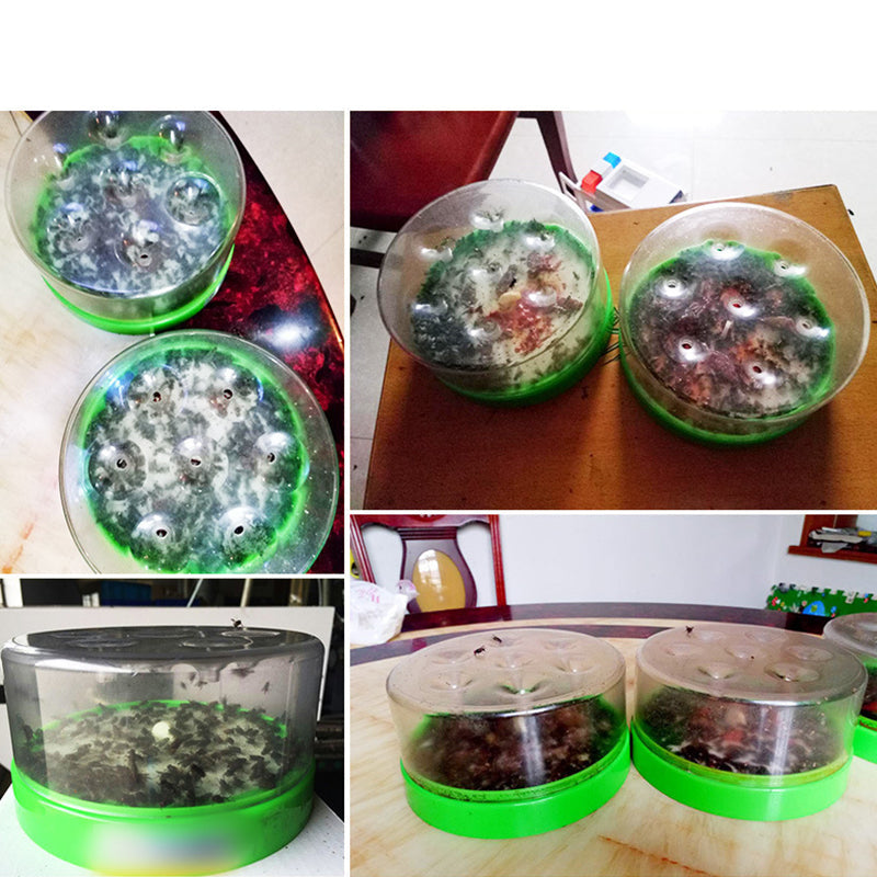 Reusable fly trap