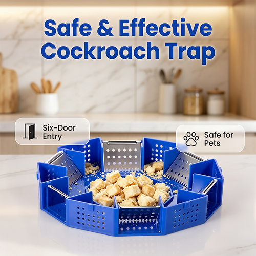Physical Cockroach Trap